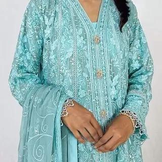 Pakistani Gown Dresses With Embroidery | Zarveil