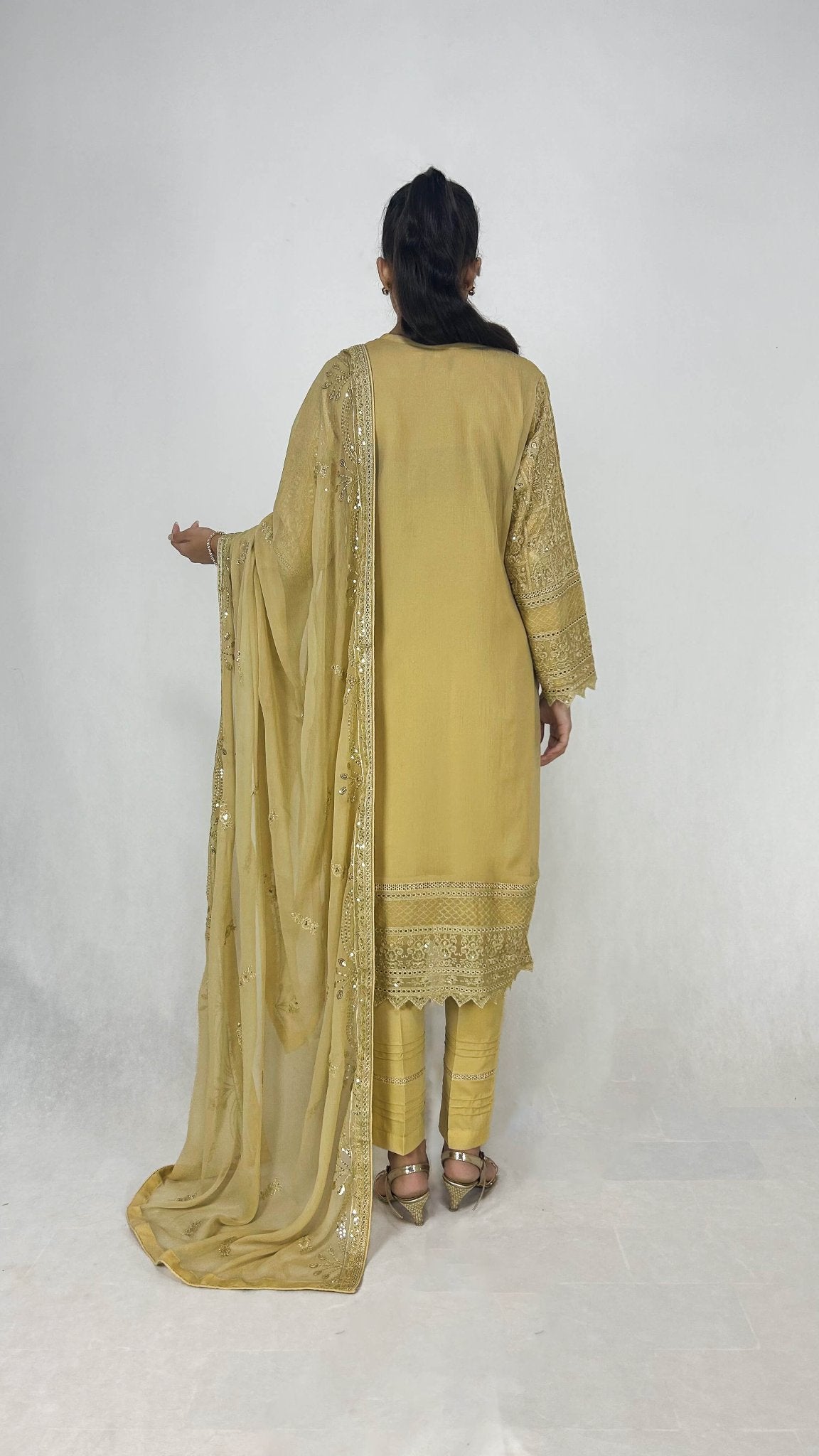 Beige Chiffon Shalwar Kameez Embroidered Elegant Design Back Look