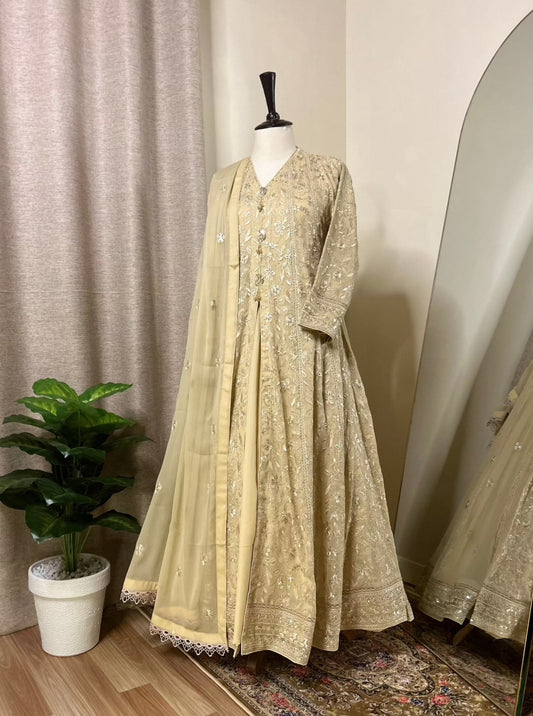 Elegant Indian Chiffon Gown Dress Complete Look | Zarveil