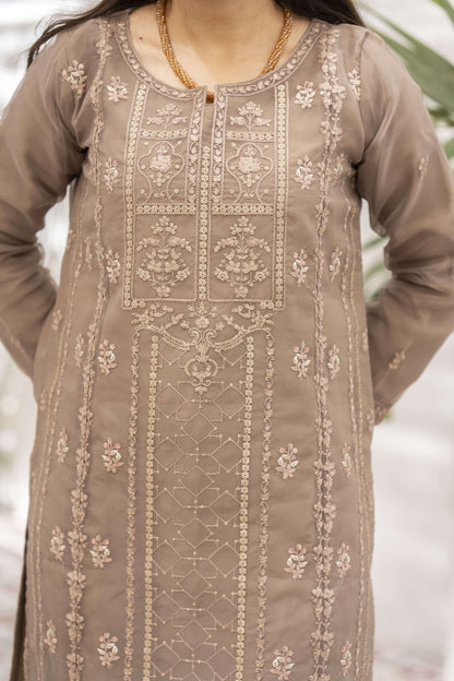 Brown embroidered kameez with intricate embroidery