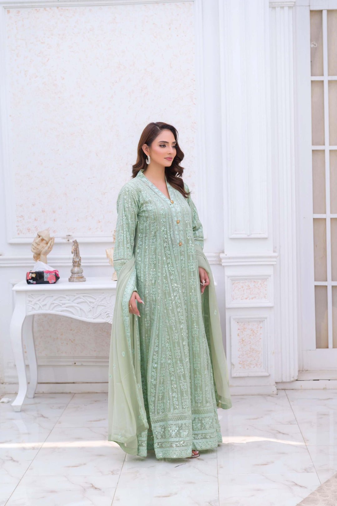 Mint Green Chiffon Anarkali Gown Side Picture