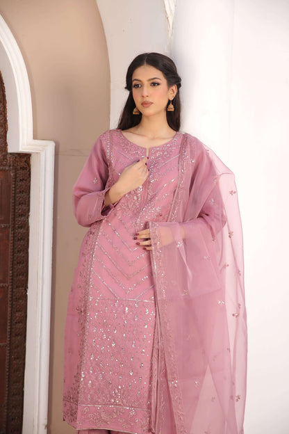 Woman in a pink traditional organza fabric shalwar kameez outfit standing pose