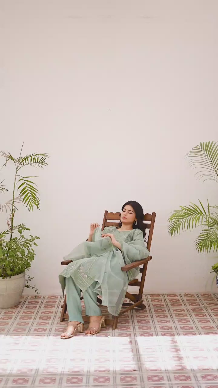 Women wearing light green embroidered organza shalwar kameez suit video