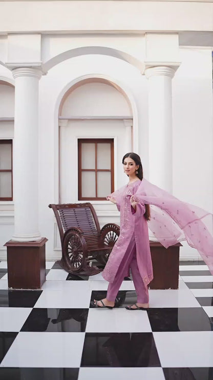Woman in a pink traditional organza fabric shalwar kameez video